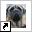 www.dierenhotel.elandhoeve