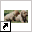 www.euronet.nl