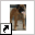 www.boerboels.nl