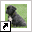 www.canecorsokennel.nl