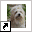 users.telenet.be