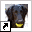 kennel.geasten.nl