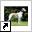 www.nederlandsegreyhoundclub.nl