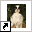 www.shimojapanesechins.nl