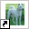 www.kishu.nl