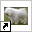 www.komondor.nu