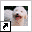 www.lagotto-romagnolo.nl