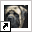 www.mastiffs.be
