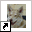 www.saarlooswolfhond.biz