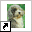 www.spaanse-waterhond.nl