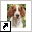 www.pentres-felin.nl