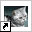 www.weetjesoverkatten.nl