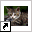www.weetjesoverkatten.nl