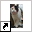 www.dierenhoteldeboemerang.nl