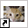 www.dierenvakantieland.nl
