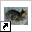 www.dierenpension-quimper.nl