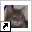 www.dierenpensiondrachten.nl