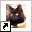 www.dierenpensionmatu.nl