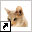 www.dierenpensiontussenwijck.nl