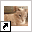 www.dierenpensioneelde.nl