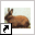 www.bunnybunch.nl