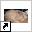 www.bunnybunch.nl