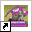 www.animalhome.nl