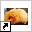 www.dieren.naamwijzer.nl