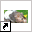 www.hamsterland.nl