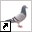 www.tonanders.nl