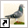 duiven.netcon.nl