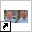 www.duivensite.nl