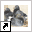 www.schalkwijkpigeons.nl