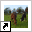 www.dirks-horses.nl