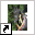 staldevoort.web-log.nl
