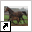 www.paardenfokkerij-welten.nl