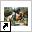 www.skyhighstable.nl