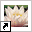 www.vidinova.nl
