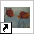 www.memoriesoflife.nl
